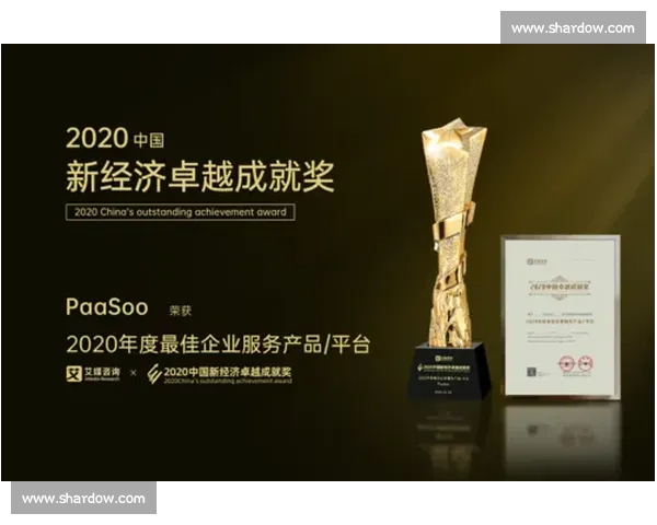 金牌荣耀背后的拼搏与坚持见证非凡成就与卓越荣誉