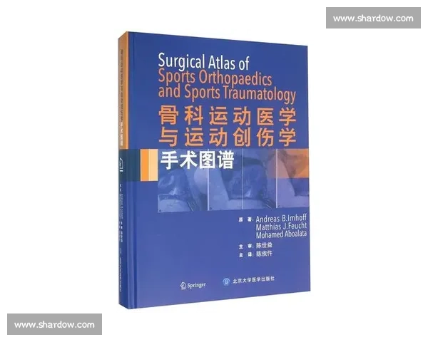 运动医学在运动损伤预防康复与性能提升中的应用研究