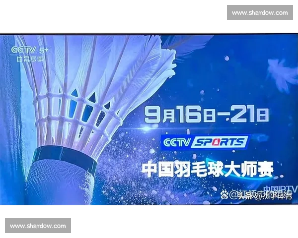 羽毛球巅峰对决激战正酣顶尖选手争夺荣耀